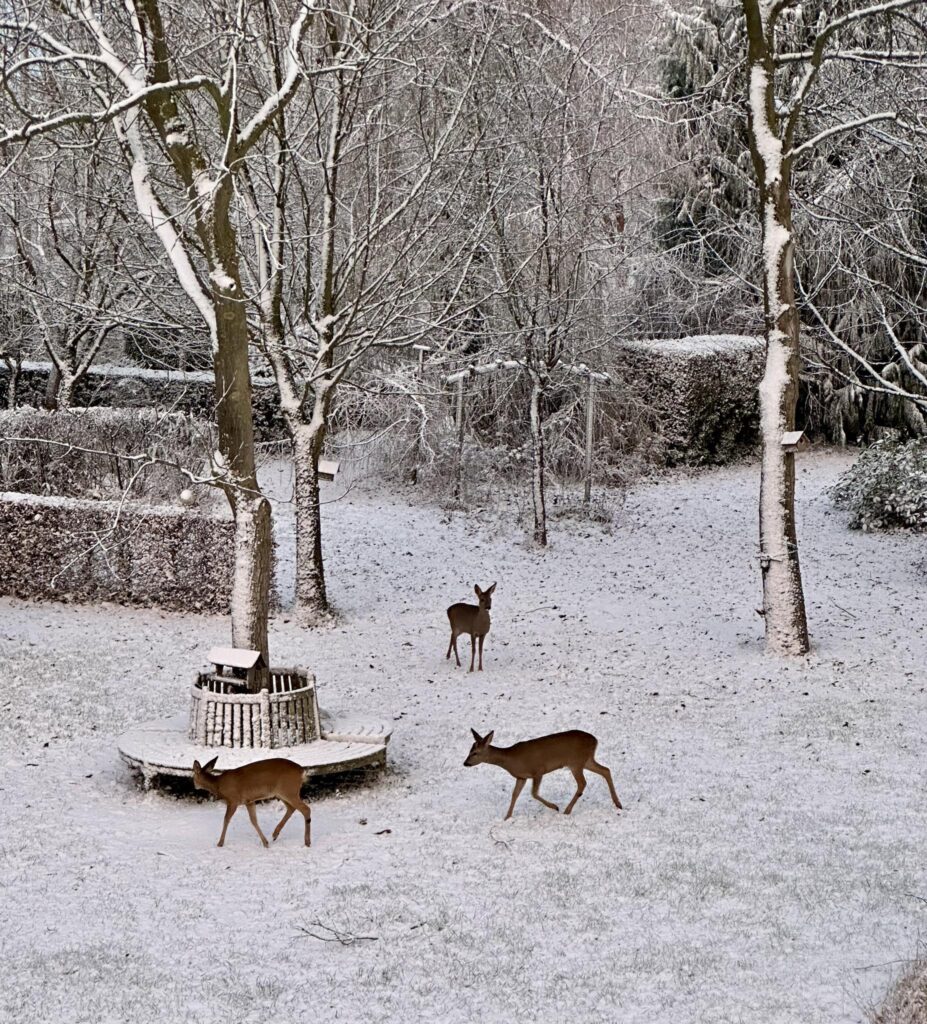 Sneeuwpret in Boutersem